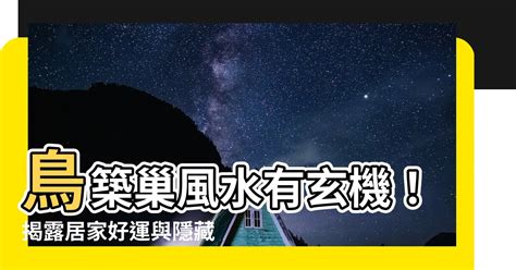 鳥築巢 風水|鳥築巢風水：提升居家能量的秘訣【鳥築巢風水】 – 香港 算命師。